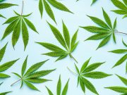 Cannabis Use Increases Diabetes Risk Nearly Fourfold