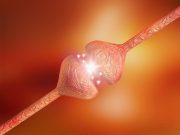 Alzheimer Disease Associated With Greater Neural Flexibility