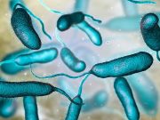 Rare Flesh-Eating Bacteria Claims Fifth Life in Louisiana