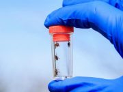 Illinois Confirms First Case of Rare Tick-Borne Powassan Virus