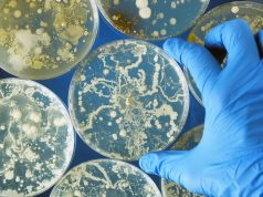 2019 to 2023 Saw Increase in NDM-Carbapenem-Resistant Enterobacterales