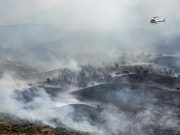 Wildfire Smoke Exposure Tied to Reduced Sperm Quality