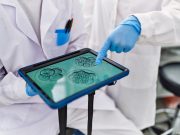 Scientists Grow Egg Cells From Human Skin in New Study