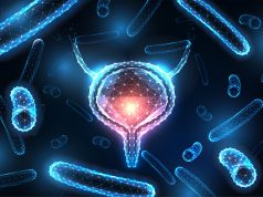 18 Percent of UTIs Attributable to Zoonotic E. Coli Strains