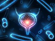 Challenges Seen in Diagnosing UTI in Children With Neurogenic Bladder