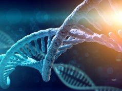 Lentiviral Gene Therapy Shows Sustained Clinical Efficacy for ADA-SCID
