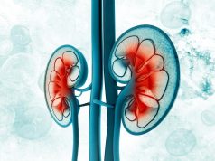 ASN: Large Gap Between Creatinine-Based eGFR and Cystatin C-Based eGFR Tied to Worse Outcomes