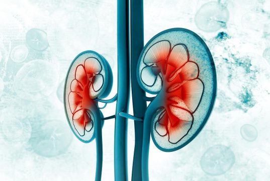 ASN: Large Gap Between Creatinine-Based eGFR and Cystatin C-Based eGFR Tied to Worse Outcomes