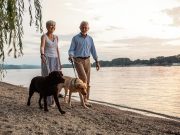 Physical Activity Levels Linked to Risk for Digestive System Cancers