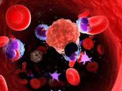 Prevalence of Key Cancer Susceptibility Genes Higher Than Expected