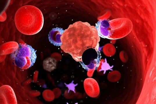 Prevalence of Key Cancer Susceptibility Genes Higher Than Expected