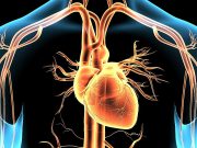 AHA: Elevated Levels of Three Heart Disease Biomarkers Tied to Increased Risk for MI