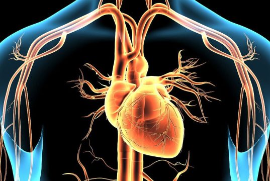 AHA: Elevated Levels of Three Heart Disease Biomarkers Tied to Increased Risk for MI