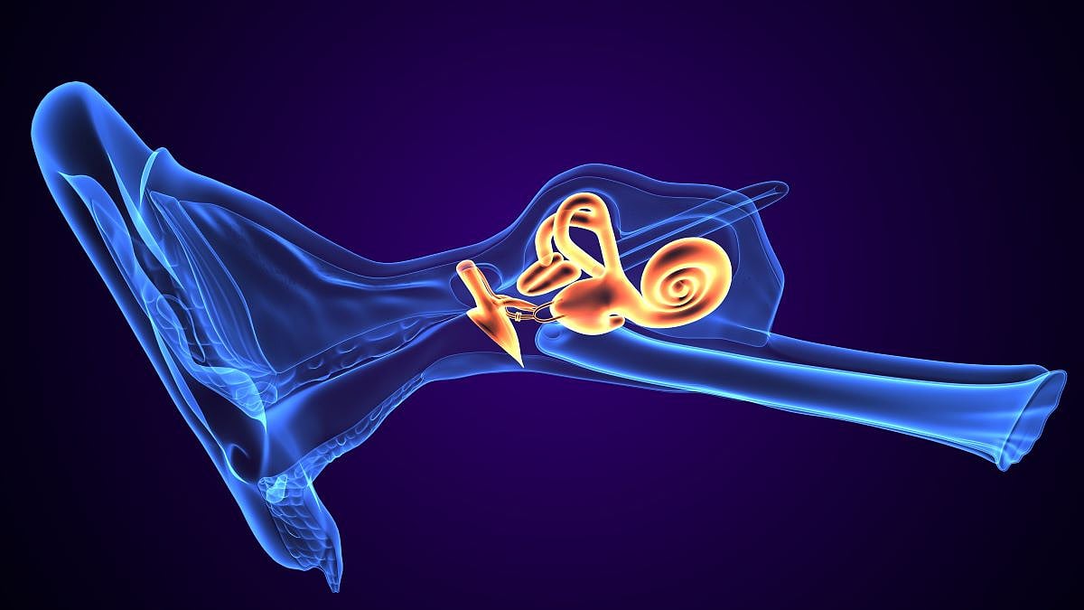 Gadolinium-Enhanced MRI Improves Accuracy for Meniere Disease