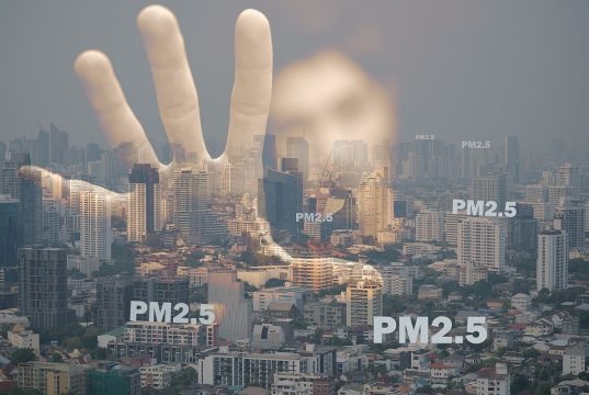 Prenatal Exposure to Fine Particulate Matter Components Linked to Autism Spectrum Disorder Risk