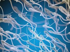 Lifestyle Changes May Boost Fertility in Men With Obesity