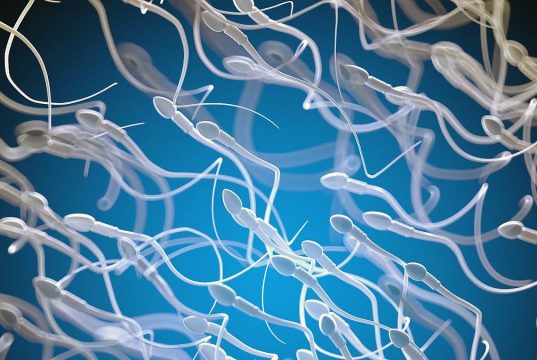 Lifestyle Changes May Boost Fertility in Men With Obesity